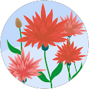 Kokila profile picture