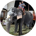 Sangeetha S profile picture